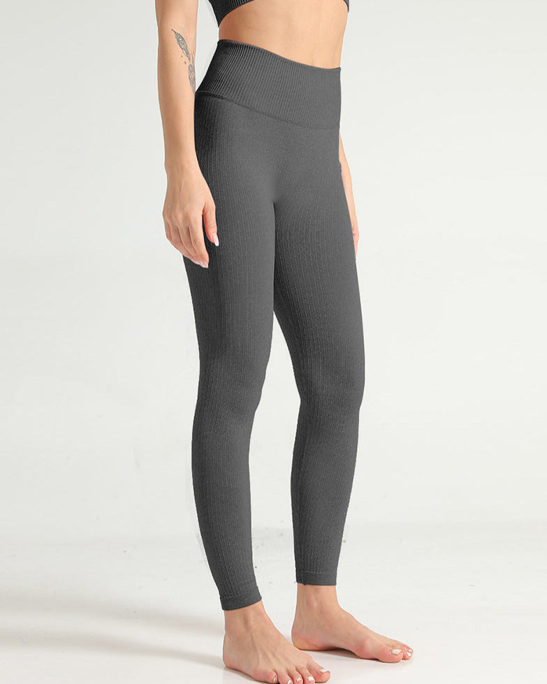 Seamless Rib Leggings vrshWOMENS