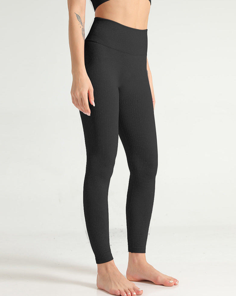 Seamless Rib Leggings vrshWOMENS