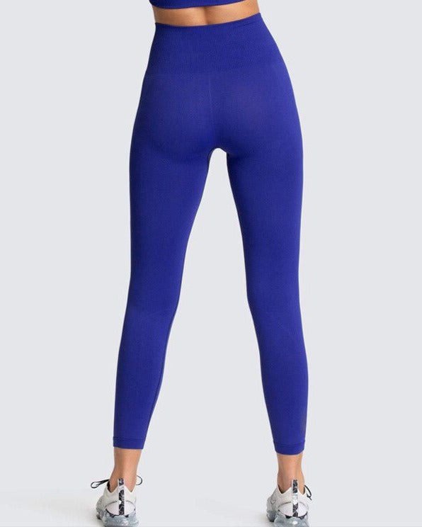 Adapt Seamless Leggings vrshWOMENS